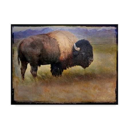 TRADEMARK FINE ART Chris Vest 'Bison Portrait Mountains' Canvas Art, 14x19 WAG02831-C1419GG